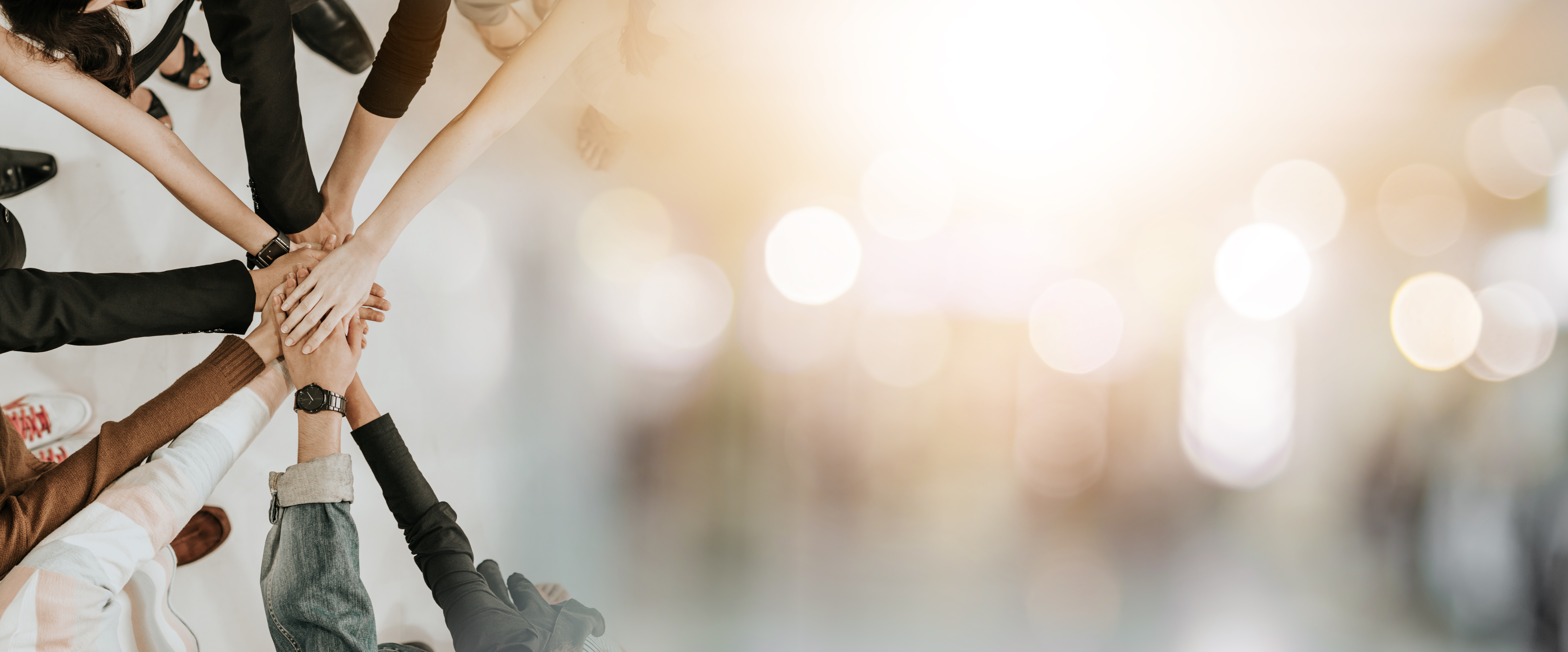 輪になって手を合わせている写真